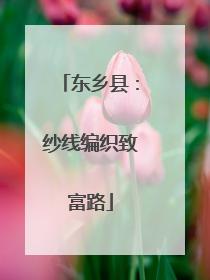东乡县：纱线编织致富路