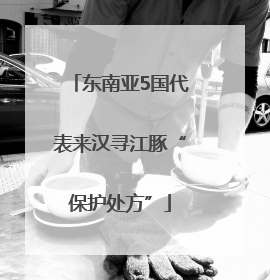 东南亚5国代表来汉寻江豚“保护处方”