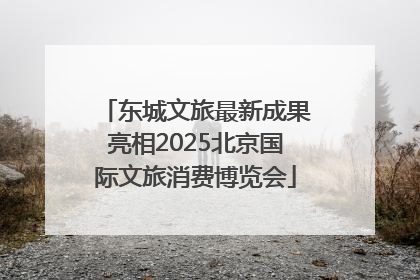 东城文旅最新成果亮相2025北京国际文旅消费博览会