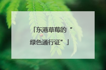 东港草莓的“绿色通行证”