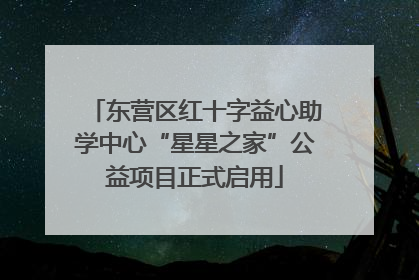 东营区红十字益心助学中心“星星之家”公益项目正式启用