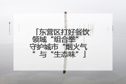 东营区打好餐饮领域“组合拳” 守护城市“烟火气”与“生态味”