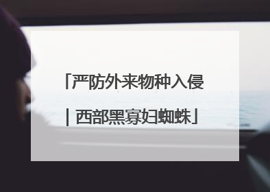 严防外来物种入侵｜西部黑寡妇蜘蛛