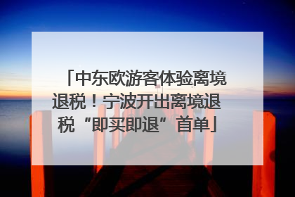 中东欧游客体验离境退税！宁波开出离境退税“即买即退”首单