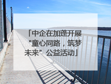 中企在加蓬开展“童心同路，筑梦未来”公益活动
