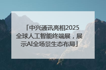 中兴通讯亮相2025全球人工智能终端展，展示AI全场景生态布局