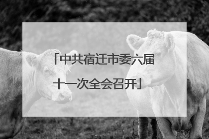 中共宿迁市委六届十一次全会召开