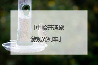 中哈开通旅游观光列车