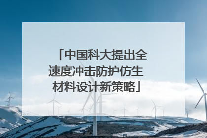 中国科大提出全速度冲击防护仿生材料设计新策略
