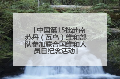 中国第15批赴南苏丹（瓦乌）维和部队参加联合国维和人员日纪念活动