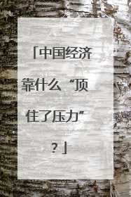 中国经济靠什么“顶住了压力”？