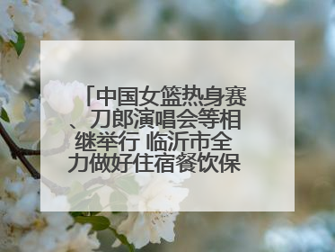 中国女篮热身赛、刀郎演唱会等相继举行 临沂市全力做好住宿餐饮保障工作