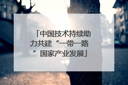 中国技术持续助力共建“一带一路”国家产业发展