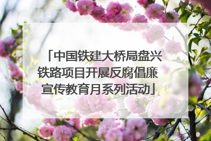 中国铁建大桥局盘兴铁路项目开展反腐倡廉宣传教育月系列活动