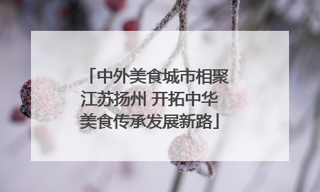 中外美食城市相聚江苏扬州 开拓中华美食传承发展新路