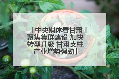 中央媒体看甘肃丨聚焦集群建设 加快转型升级 甘肃支柱产业增势强劲