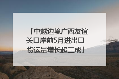 中越边境广西友谊关口岸前5月进出口货运量增长超三成