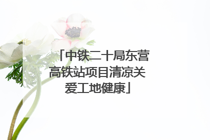 中铁二十局东营高铁站项目清凉关爱工地健康
