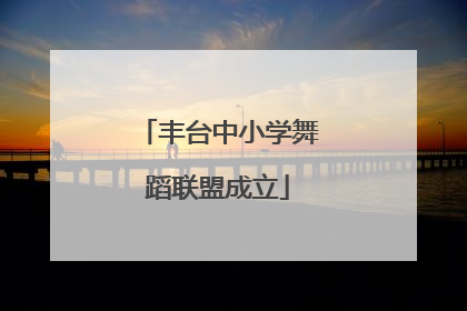 丰台中小学舞蹈联盟成立