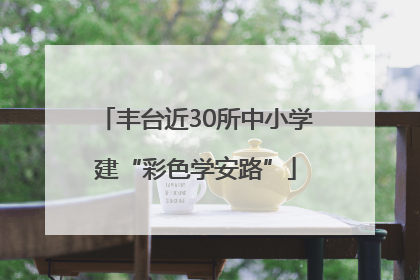 丰台近30所中小学建“彩色学安路”