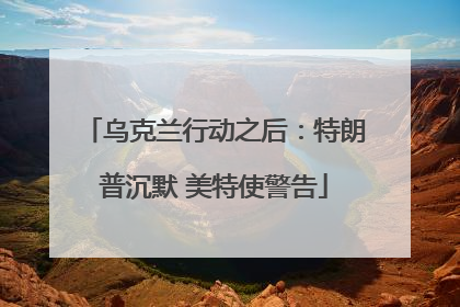 乌克兰行动之后：特朗普沉默 美特使警告
