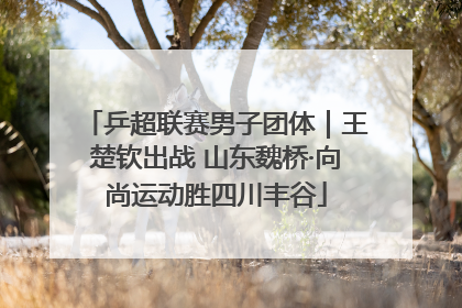 乒超联赛男子团体｜王楚钦出战 山东魏桥·向尚运动胜四川丰谷