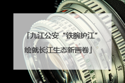 九江公安“铁腕护江”绘就长江生态新画卷