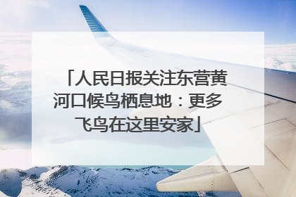 人民日报关注东营黄河口候鸟栖息地：更多飞鸟在这里安家