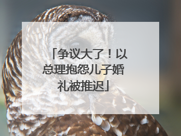 争议大了！以总理抱怨儿子婚礼被推迟