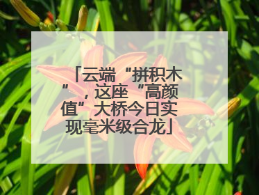 云端“拼积木”，这座“高颜值”大桥今日实现毫米级合龙
