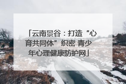 云南景谷：打造“心育共同体”织密 青少年心理健康防护网