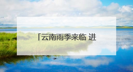 云南雨季来临 进入一年一度吃菌季