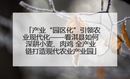 产业“园区化”引领农业现代化——看淇县如何深耕小麦、肉鸡 全产业链打造现代农业产业园
