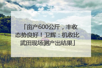 亩产600公斤，丰收态势良好！卫辉：机收比武田现场测产出结果