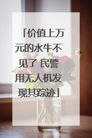 价值上万元的水牛不见了 民警用无人机发现其踪迹