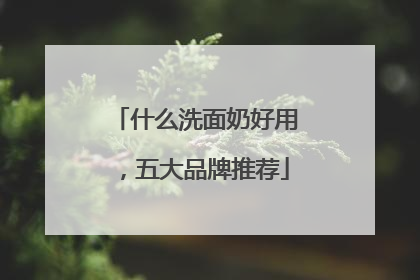 什么洗面奶好用，五大品牌推荐
