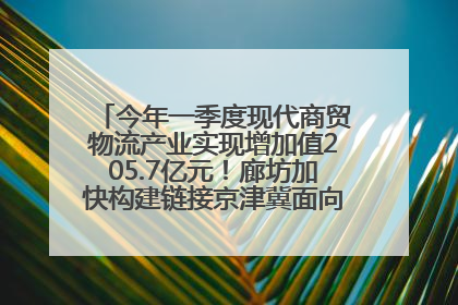 今年一季度现代商贸物流产业实现增加值205.7亿元！廊坊加快构建链接京津冀面向全世界的物流通道