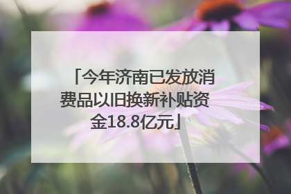 今年济南已发放消费品以旧换新补贴资金18.8亿元