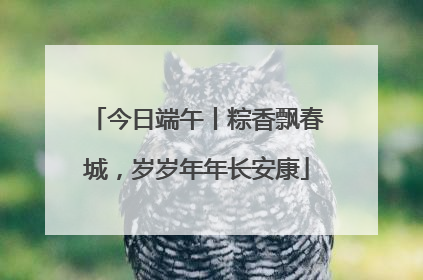 今日端午丨粽香飘春城，岁岁年年长安康