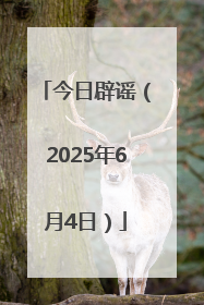 今日辟谣（2025年6月4日）