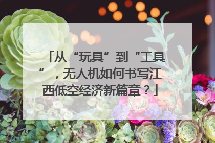从“玩具”到“工具”，无人机如何书写江西低空经济新篇章？