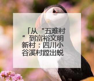 从“五难村”到富裕文明新村：四川小谷溪村蹚出蜕变之路