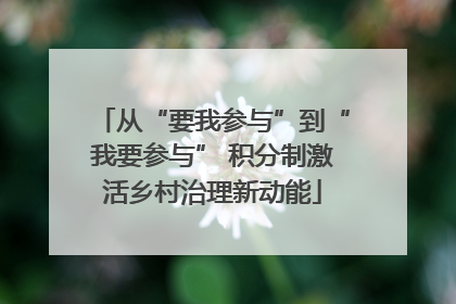 从“要我参与”到“我要参与” 积分制激活乡村治理新动能