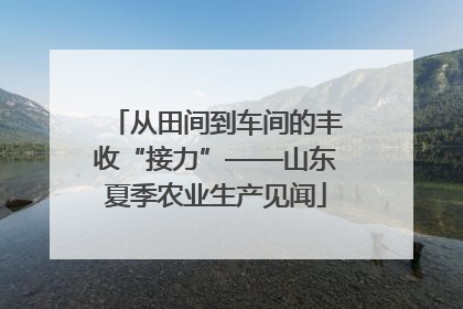 从田间到车间的丰收“接力”——山东夏季农业生产见闻