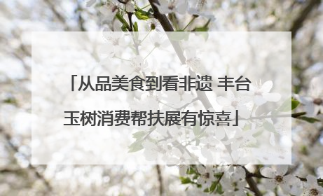 从品美食到看非遗 丰台玉树消费帮扶展有惊喜