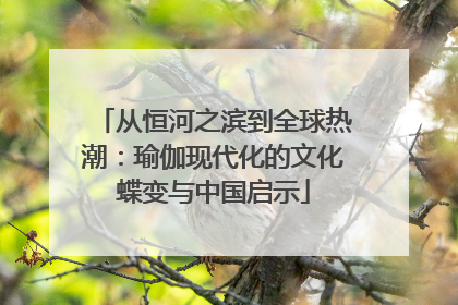 从恒河之滨到全球热潮：瑜伽现代化的文化蝶变与中国启示