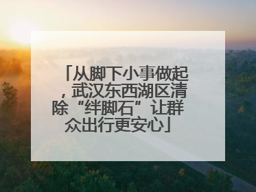 从脚下小事做起，武汉东西湖区清除“绊脚石”让群众出行更安心