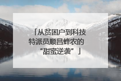 从贫困户到科技特派员顺昌蜂农的“甜蜜逆袭”