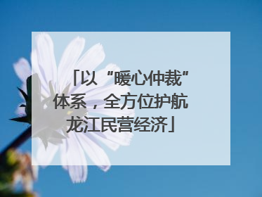 以“暖心仲裁”体系，全方位护航龙江民营经济
