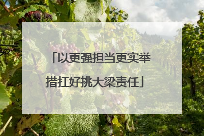 以更强担当更实举措扛好挑大梁责任